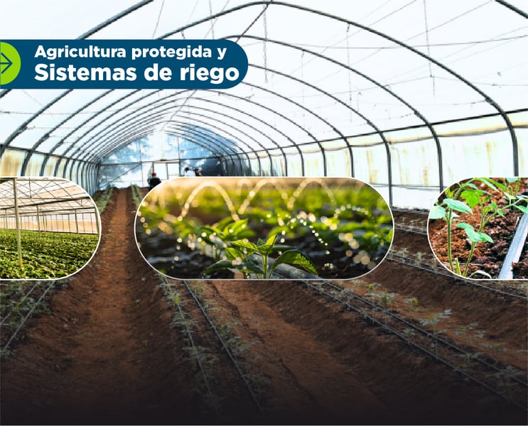 ARTES PAGINA WEB -04