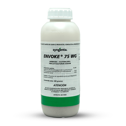 ENVOKE 75 WG