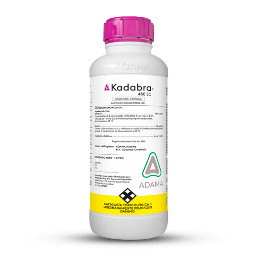 KADABRA 48 SC
