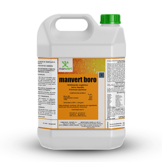 MANVERT BORO