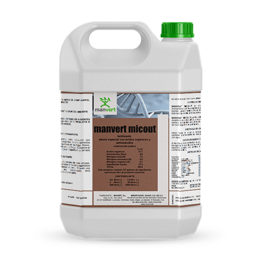 MANVERT MICOUT