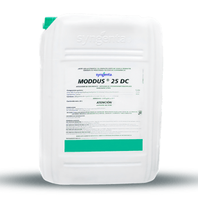MODDUS 25 DC 800x800