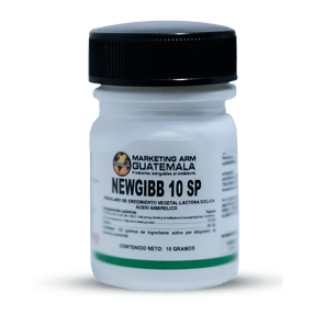 NEWGIBB 10 SP 800x800