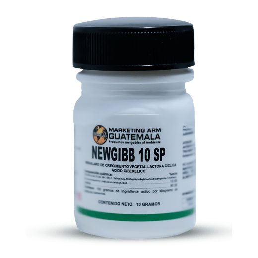 NEWGIBB 10 SP