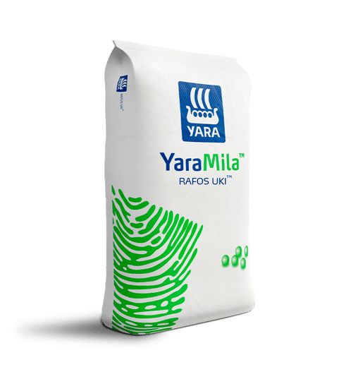YARAMILA RAFOS UKI