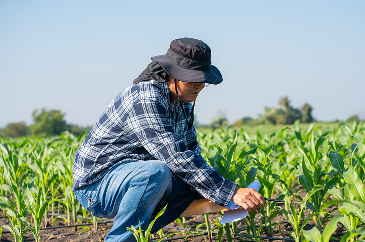 agronomist-using-technology-in-agricultural-corn-f-2025-01-03-23-28-36-utc 1
