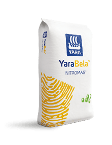 bolsa2
