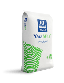 bolsa3