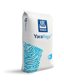 bolsa4