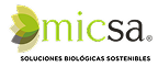 logo micsa